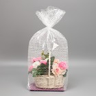 Пакет с жёстким дном «Волны», 14 × 22 × 70 см 7984635