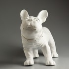 Манекен собаки, стоячий, PVC, 38 х 18 х 33 см, белый - фото 6006657