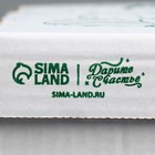 Коробка для торта «С днём рождения», 29 х 29 х 15 см 9285729