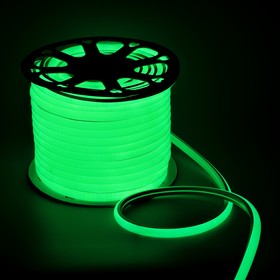 Гибкий неон Luazon Lighting 16 мм D-образный, IP67, 50 м, SMD2835, 120 LED/м, 220 В, свечение зелёное