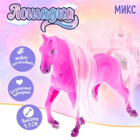 Лошадка «Роза», МИКС в Донецке