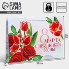 Пакет ламинированный горизонтальный «Праздник весны», L 28 × 38 × 9 см 7892382