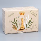 Коробка сборная «Веселья», 20 х 15 х 10 см 9227606