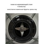 Блендер настольный Pioneer SB141, стационарный, 750 Вт, 2 скорости, 1500 мл, серебристый 9410569 - фото 51971