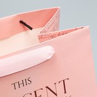 Пакет подарочный с широким дном «Present», 20 × 14 × 13,2 см 9205943