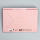 Пакет подарочный с широким дном «Present», 20 × 14 × 13,2 см 9205943