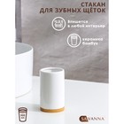 Стакан для зубных щёток SAVANNA Джуно, цвет белый 9399972 - фото 6045799