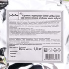 Карамель леденцовая Smile Candy микс (лимон,клубника .манго, арбуз), 1 кг - фото 802710389
