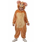 Карнавальный костюм "Мышка Джерри", Кигуруми Warner Brothers р.116-60 - фото 6031216