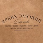 Пакет крафтовый «Ярких эмоций», 24 х 28 х 14 см 9379035