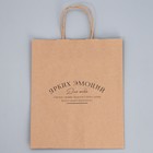 Пакет крафтовый «Ярких эмоций», 24 х 28 х 14 см 9379035