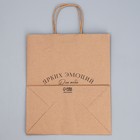 Пакет крафтовый «Ярких эмоций», 24 х 28 х 14 см 9379035