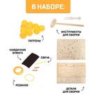 Набор для опытов «Техно-лук» - фото 107920720