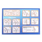 Набор для опытов «Техно-лук» - фото 107920729