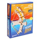 Набор для опытов «Техно-лук» - фото 107920730