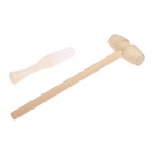 Набор для опытов «Техно-лук» - фото 107920724