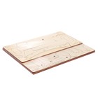 Набор для опытов «Техно-лук» - фото 107920725