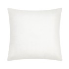 Подушка декоративная Этель Power 40х40 см, велюр, 100% п/э - фото 802751255