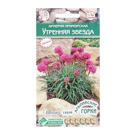 Семена Цветов Армерия приморская Утренняя Звезда, 5 шт 9395655