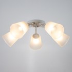 Люстра "Онлайн" (цилиндр) 5х15Вт Е27 МОДЕЛЬ: BR 00207 белый/прозрачный - фото 3497488