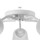 Люстра "Онлайн" (цилиндр) 5х15Вт Е27 МОДЕЛЬ: BR 00207 белый/прозрачный - фото 3497490