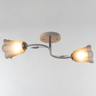 Люстра "Лилия" (цветок) 2х15Вт Е27 МОДЕЛЬ: BR 00257 белый/черный - фото 802761249