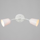 Люстра "Онлайн" (цилиндр) 2х15Вт Е27 МОДЕЛЬ: BR 00192 белый - фото 3497925