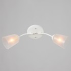 Люстра "Онлайн" (цилиндр) 2х15Вт Е27 МОДЕЛЬ: BR 00193 белый/прозрачный - фото 3497932