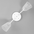 Люстра "Онлайн" (цилиндр) 2х15Вт Е27 МОДЕЛЬ: BR 00193 белый/прозрачный - фото 3497934