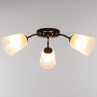 Люстра "Онлайн" (цилиндр) 3х15Вт Е27 МОДЕЛЬ: BR 00214 венге/прозрачный - фото 3498030