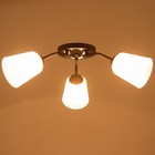 Люстра "Онлайн" (цилиндр) 3х15Вт Е27 МОДЕЛЬ: BR 00214 венге/прозрачный - фото 3498031