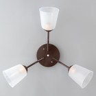 Люстра "Онлайн" (цилиндр) 3х15Вт Е27 МОДЕЛЬ: BR 00214 венге/прозрачный - фото 3498032