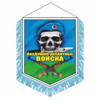 Вымпел "ВДВ череп" с бахромой, 150 х 210 мм, двусторонний 9450075 - фото 7048718