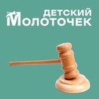 Деревянный детский молоточек «Судья» 4,5 × 8 × 33 см - фото 4999823