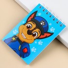 Блокнот А7 32 л, на гребне, PAW PATROL (3 шт) - фото 803651842