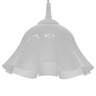 Люстра "Ирис" 1х15Вт Е27 МОДЕЛЬ: BR 00258 белый 28х28х14см - фото 3498505