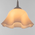 Люстра "Ирис" 1х15Вт Е27 МОДЕЛЬ: BR 00258 белый 28х28х14см - фото 3498506