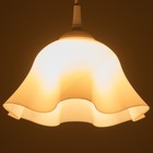 Люстра "Ирис" 1х15Вт Е27 МОДЕЛЬ: BR 00258 белый 28х28х14см - фото 3498507