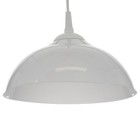 Люстра "Хоста" 1х15Вт Е27 МОДЕЛЬ: BR 00259 белый 29х29х13см - фото 3498514