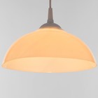 Люстра "Хоста" 1х15Вт Е27 МОДЕЛЬ: BR 00259 белый 29х29х13см - фото 3498515