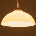 Люстра "Хоста" 1х15Вт Е27 МОДЕЛЬ: BR 00259 белый 29х29х13см - фото 3498516