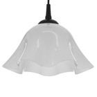 Люстра "Ирис" 1х15Вт Е27 МОДЕЛЬ: BR 00260 черный/белый 28х28х14см - фото 3511998