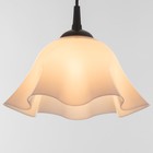 Люстра "Ирис" 1х15Вт Е27 МОДЕЛЬ: BR 00260 черный/белый 28х28х14см - фото 3511999