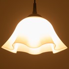 Люстра "Ирис" 1х15Вт Е27 МОДЕЛЬ: BR 00260 черный/белый 28х28х14см - фото 3512000