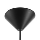 Люстра "Ирис" 1х15Вт Е27 МОДЕЛЬ: BR 00260 черный/белый 28х28х14см - фото 3512003