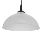 Люстра "Хоста" 1х15Вт Е27 МОДЕЛЬ: BR 00261 черный/белый 29х29х13см - фото 3512007