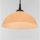 Люстра "Хоста" 1х15Вт Е27 МОДЕЛЬ: BR 00261 черный/белый 29х29х13см - фото 3512008