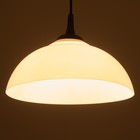 Люстра "Хоста" 1х15Вт Е27 МОДЕЛЬ: BR 00261 черный/белый 29х29х13см - фото 3512009