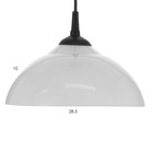 Люстра "Хоста" 1х15Вт Е27 МОДЕЛЬ: BR 00261 черный/белый 29х29х13см - фото 3512011