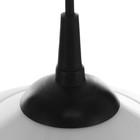 Люстра "Хоста" 1х15Вт Е27 МОДЕЛЬ: BR 00261 черный/белый 29х29х13см - фото 3512013